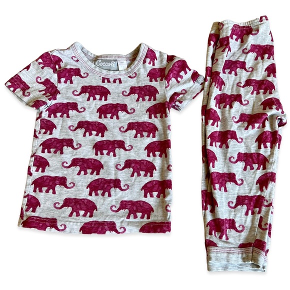 Coccoli - Picture 1 of 8